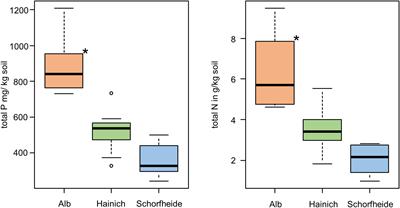 Biological Soil Crust From Mesic Forests Promote a Specific Bacteria Community